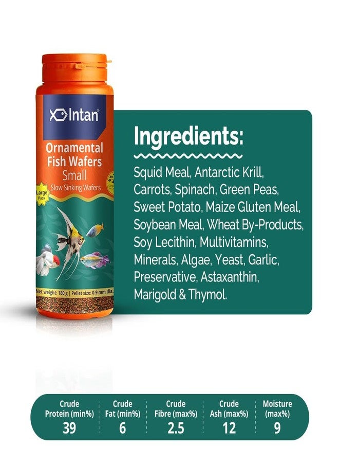 كينكو إنتان طعام أسماك الزينة المائية | رقائق صغيرة بطيئة الغرق لأسماك الزينة | رقائق لصحة ونمو الأسماك | عبوة كبيرة (180 جم) - Image 3